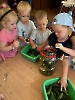 kolorowe-wakacje-kolor-zielony_33