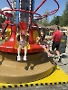 zatorland-2025_13