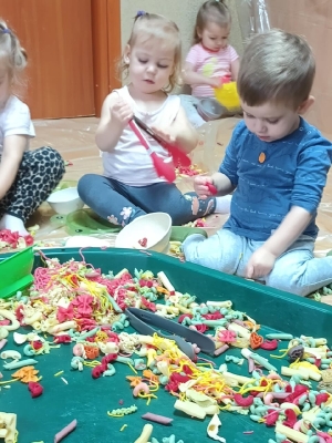 zajecia sensoryczne 10 11 20250215 1398157602